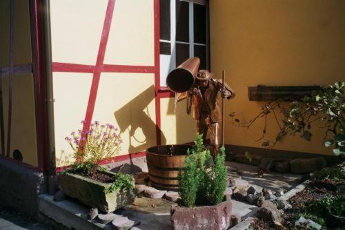 TIPTOP Hotel Garni Pfauen Endingen am Kaiserstuhl Exterior foto