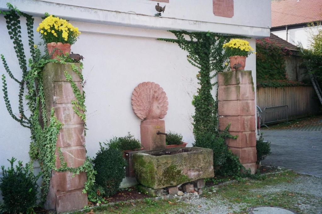 TIPTOP Hotel Garni Pfauen Endingen am Kaiserstuhl Exterior foto