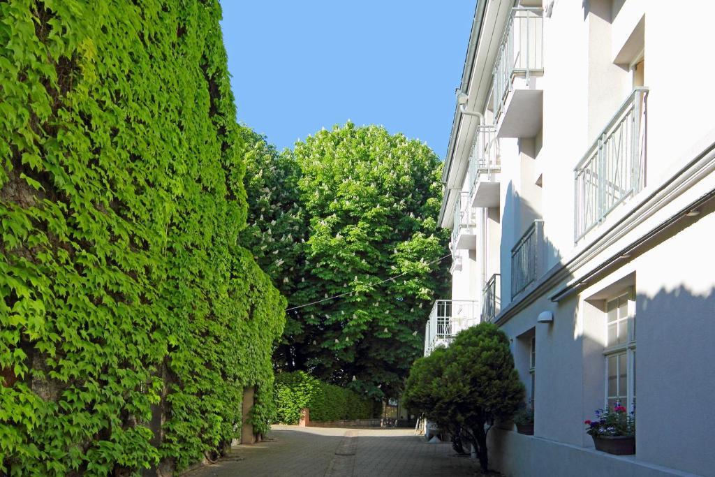 TIPTOP Hotel Garni Pfauen Endingen am Kaiserstuhl Exterior foto